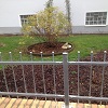 Gartenzaun 8